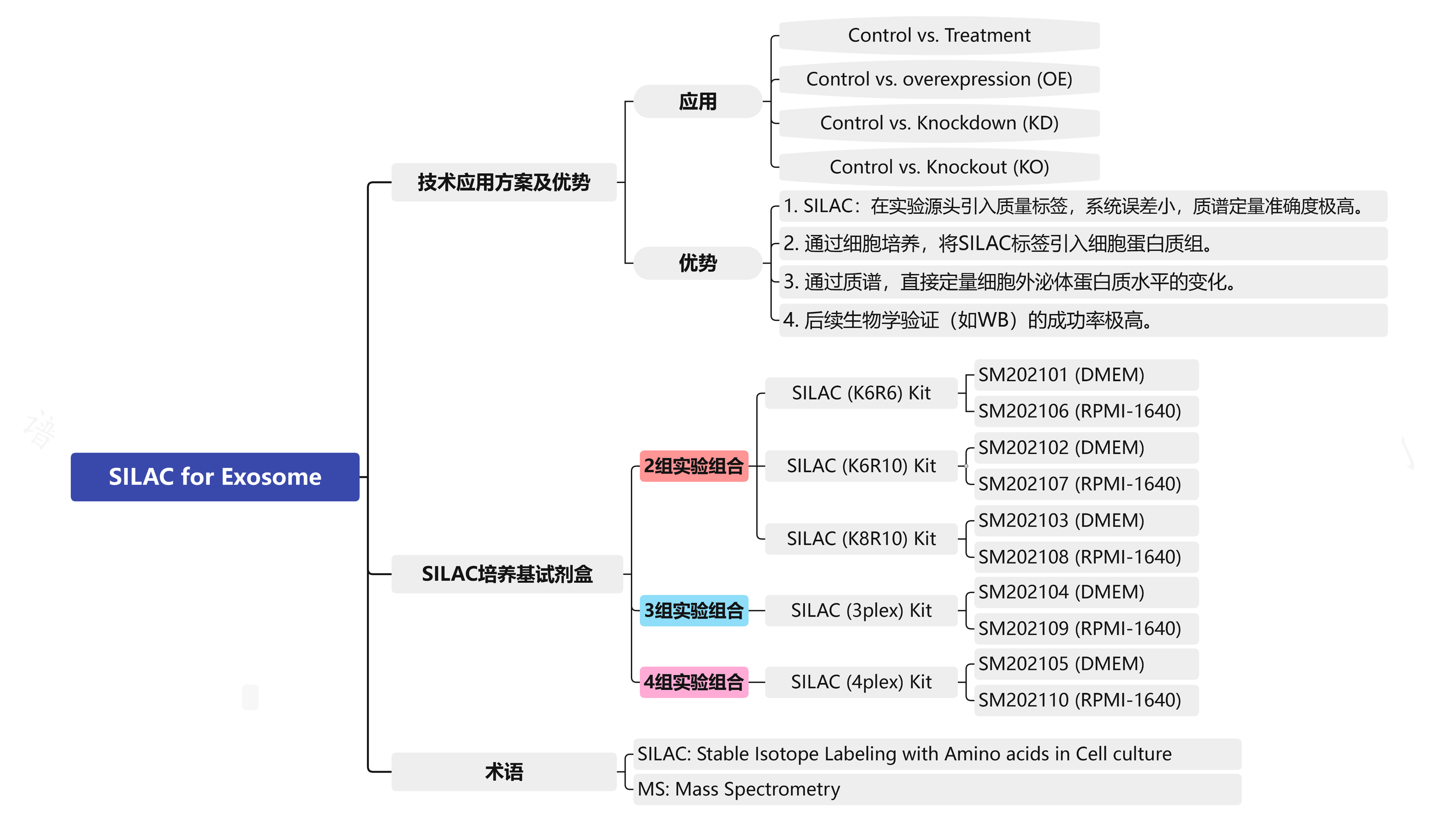 SILAC_exosome