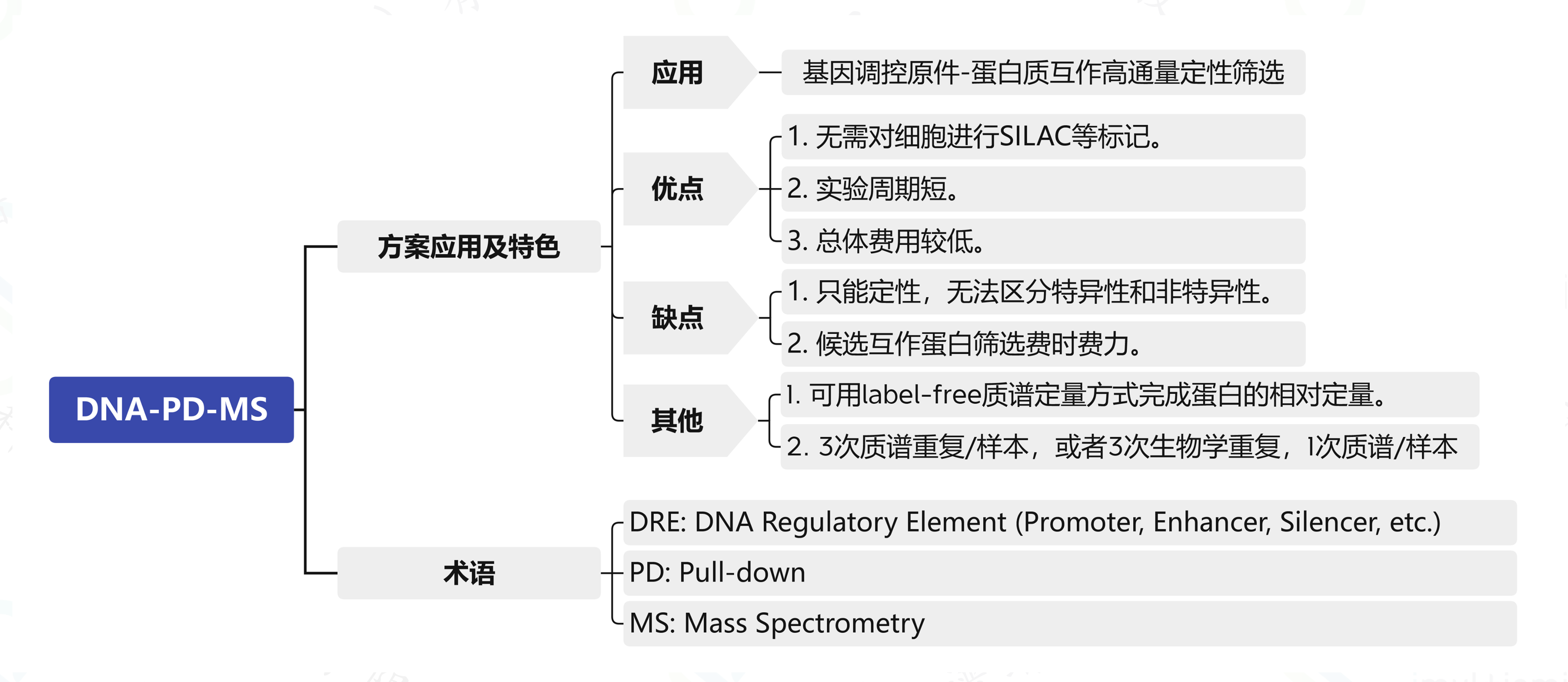 DNA-PD-MS2