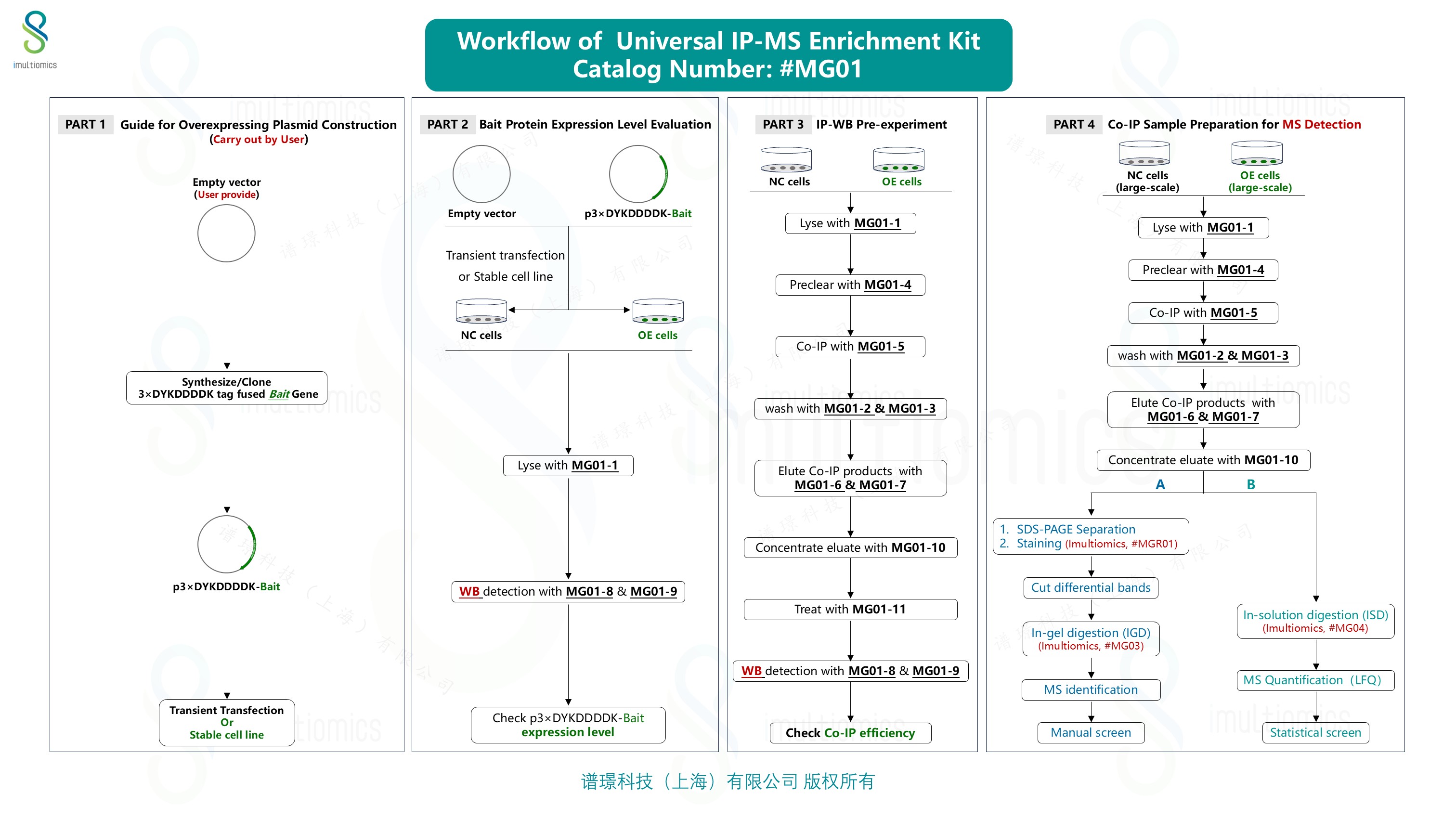 3.MG01_workflow.jpg
