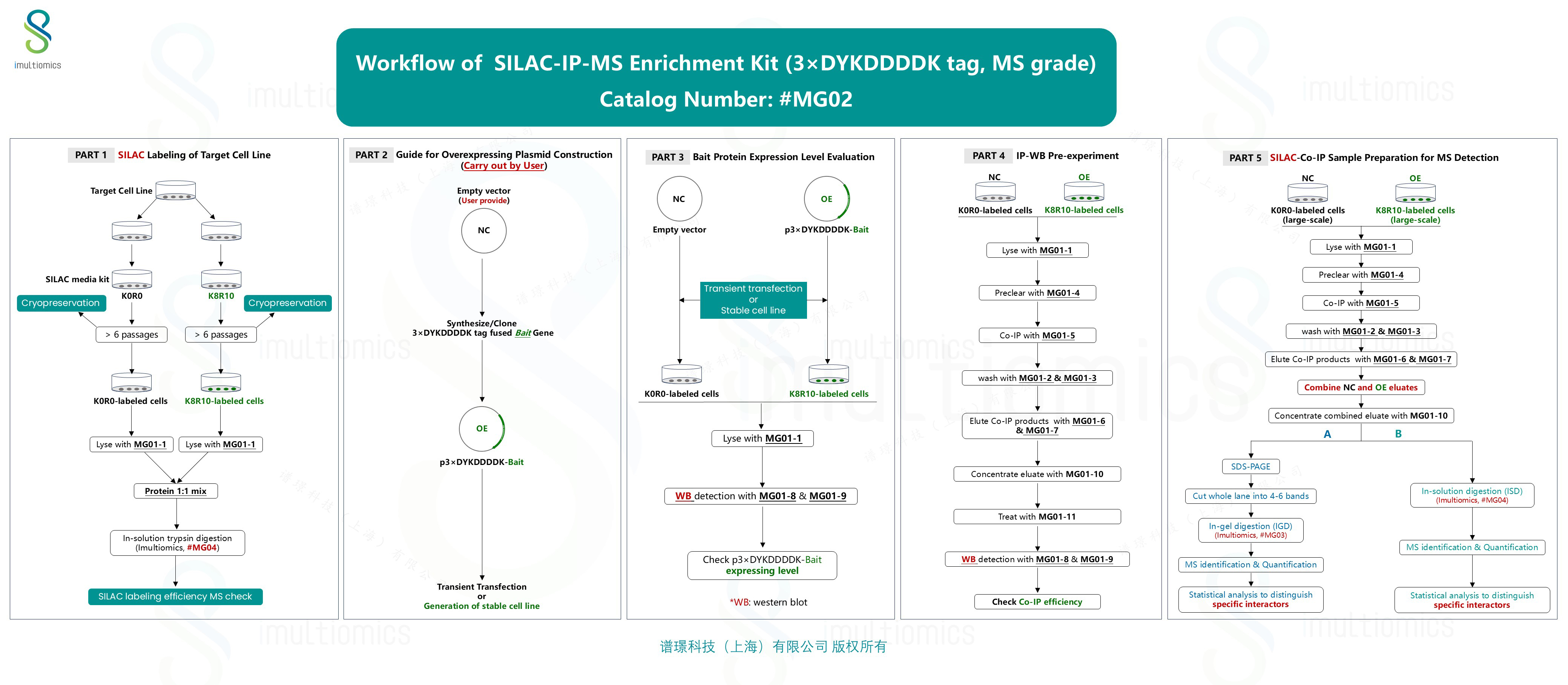 MG02_workflow